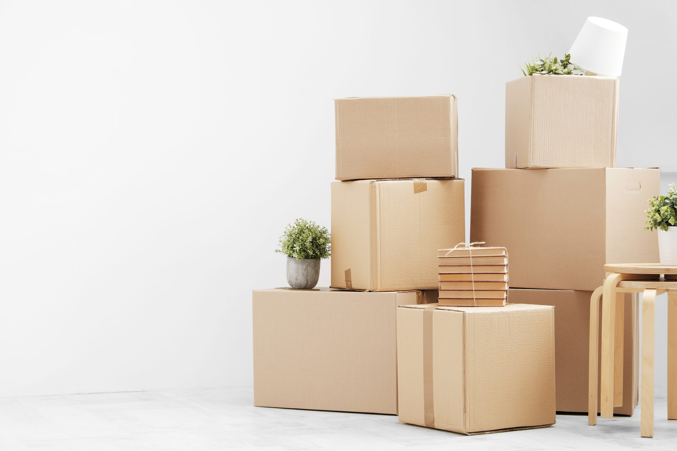 Extras 1 AdobeStock 253146582 scaled